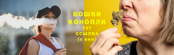 бутират Белокуриха