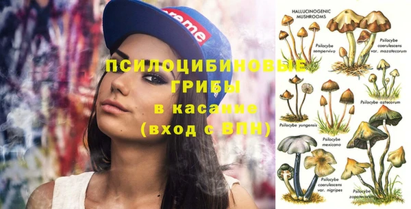 таблы Богородицк