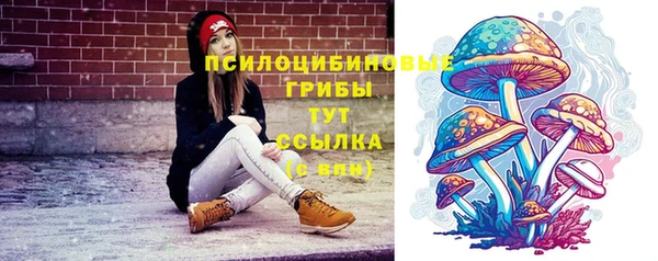 таблы Богородицк