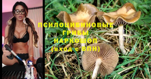 наркотики Беломорск