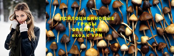 spice Богородск