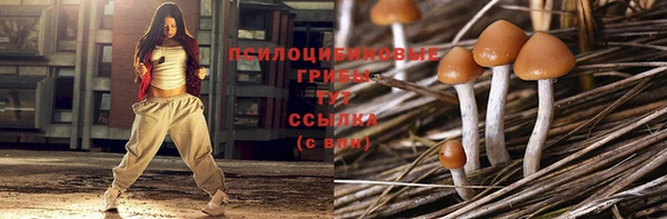 бутират Белокуриха
