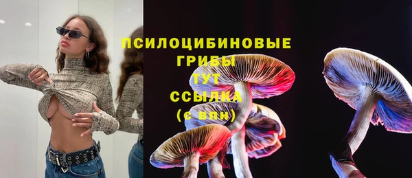 2c-b Богданович