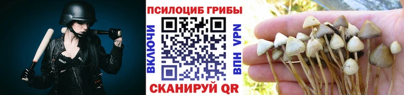 наркотики Мариинский Посад kraken зеркало Галлюциногенные грибы Cubensis